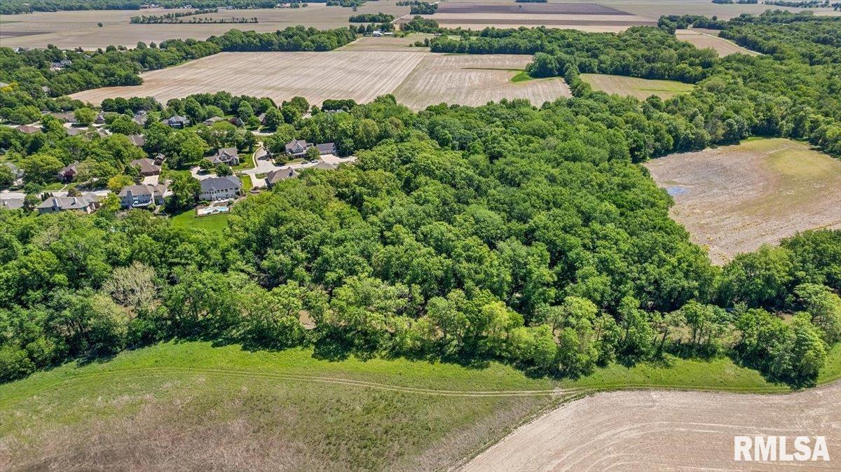 47 Woodland Trail Rochester, IL 62563 - Photo 87 of 99