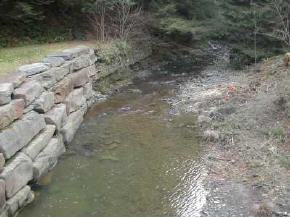 620 Brooks Road Castle Creek, NY 13744 - Photo 8 of 8 Gallery Image 8