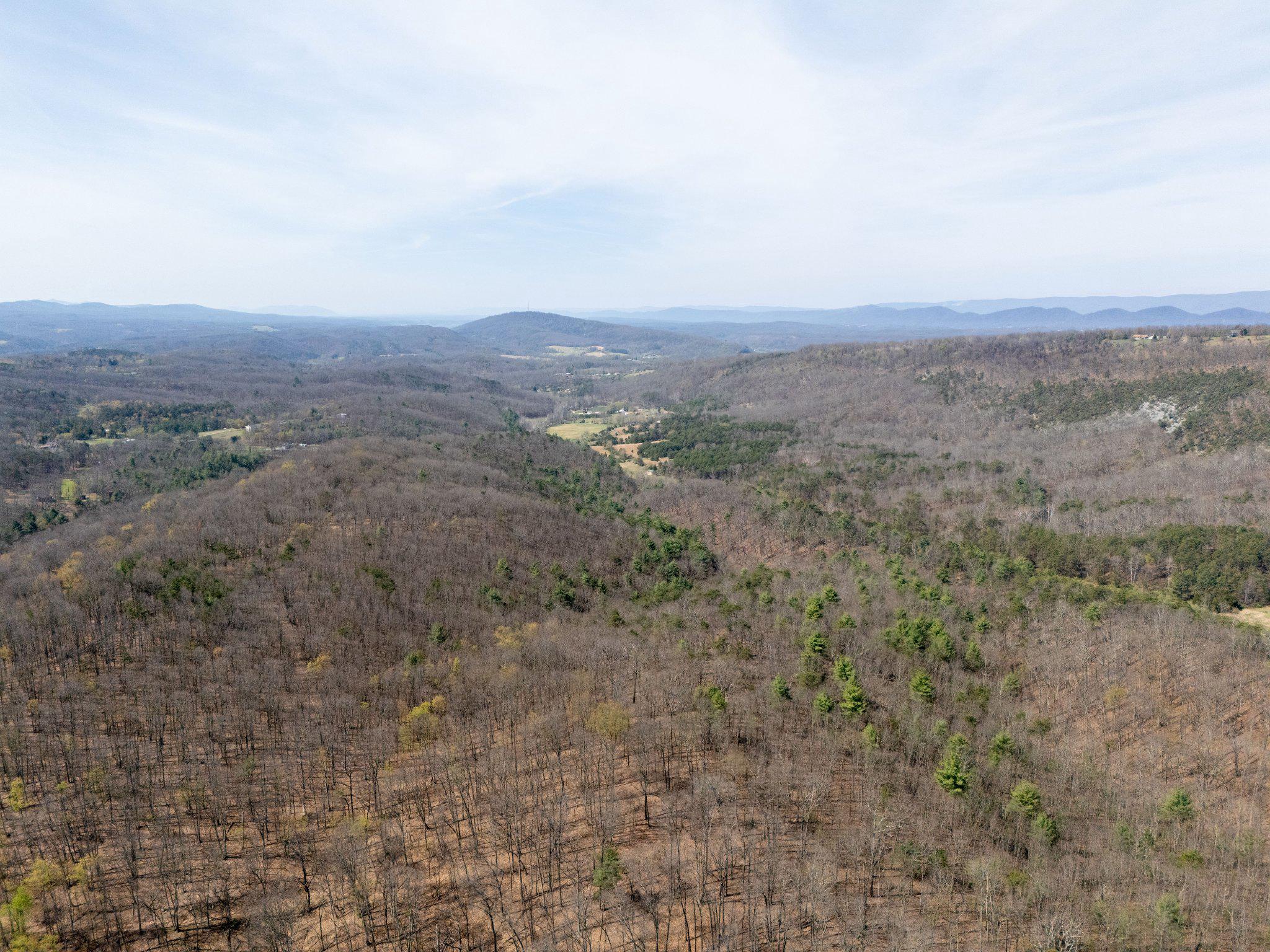 Walnut Ridge Road Southeast Oldtown, MD 21555 - Photo 1 of 18
