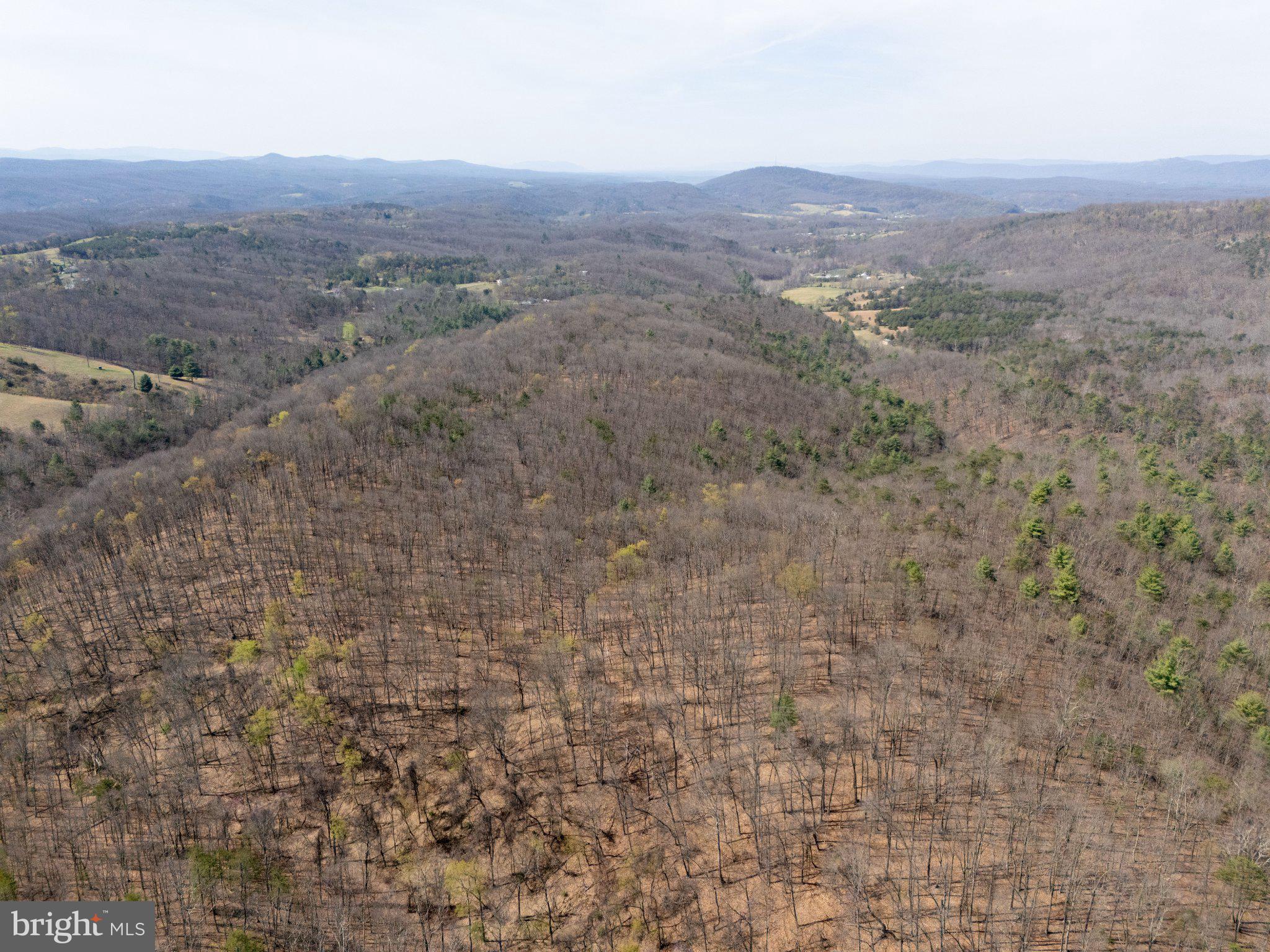 Walnut Ridge Road Southeast Oldtown, MD 21555 - Photo 12 of 18