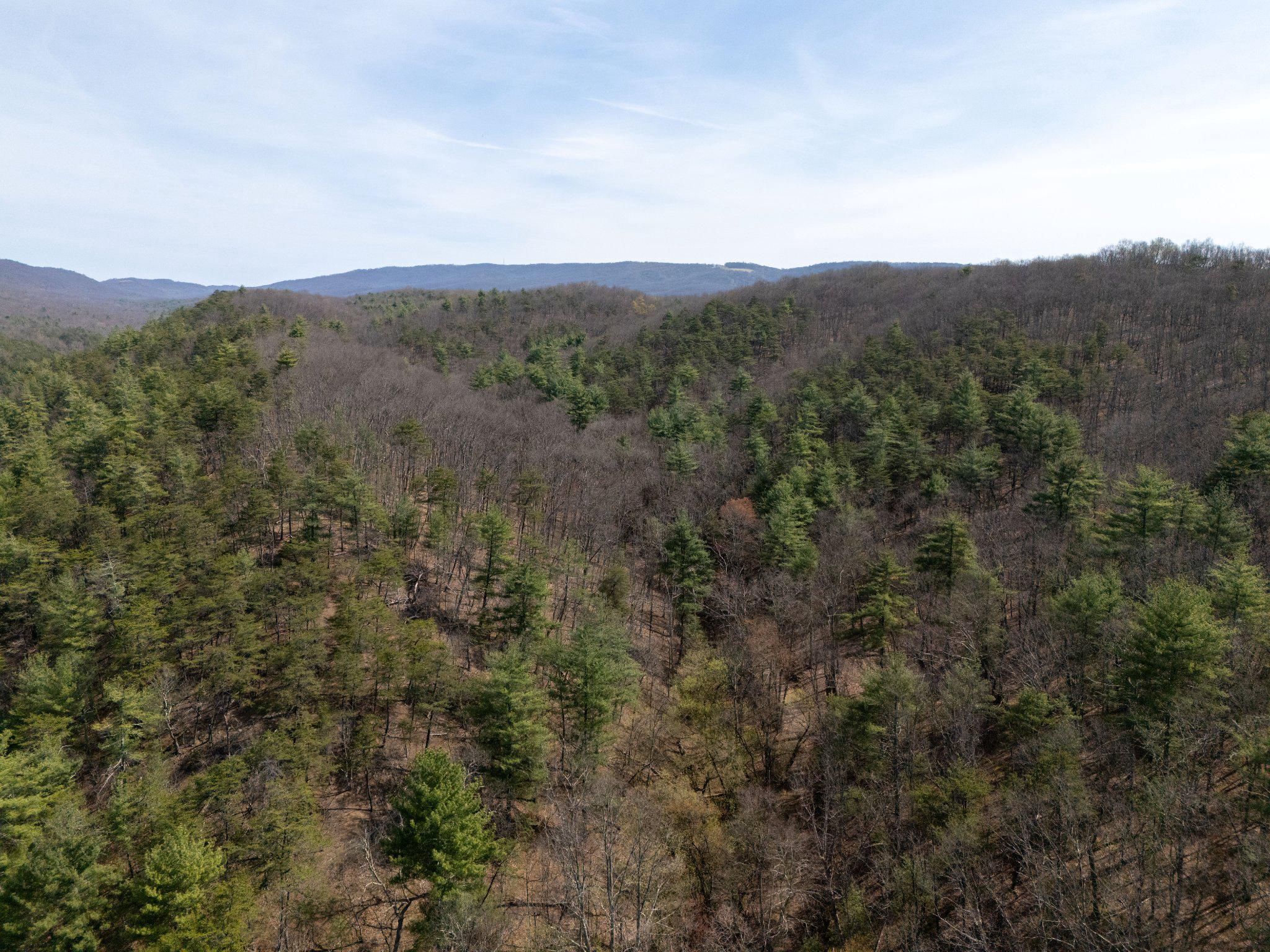 Walnut Ridge Road Southeast Oldtown, MD 21555 - Photo 15 of 18