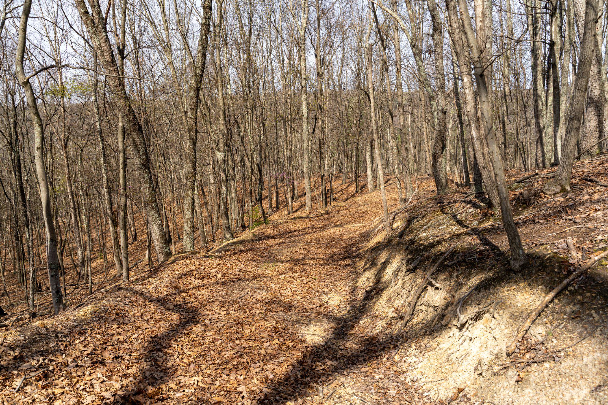 Walnut Ridge Road Southeast Oldtown, MD 21555 - Photo 10 of 18