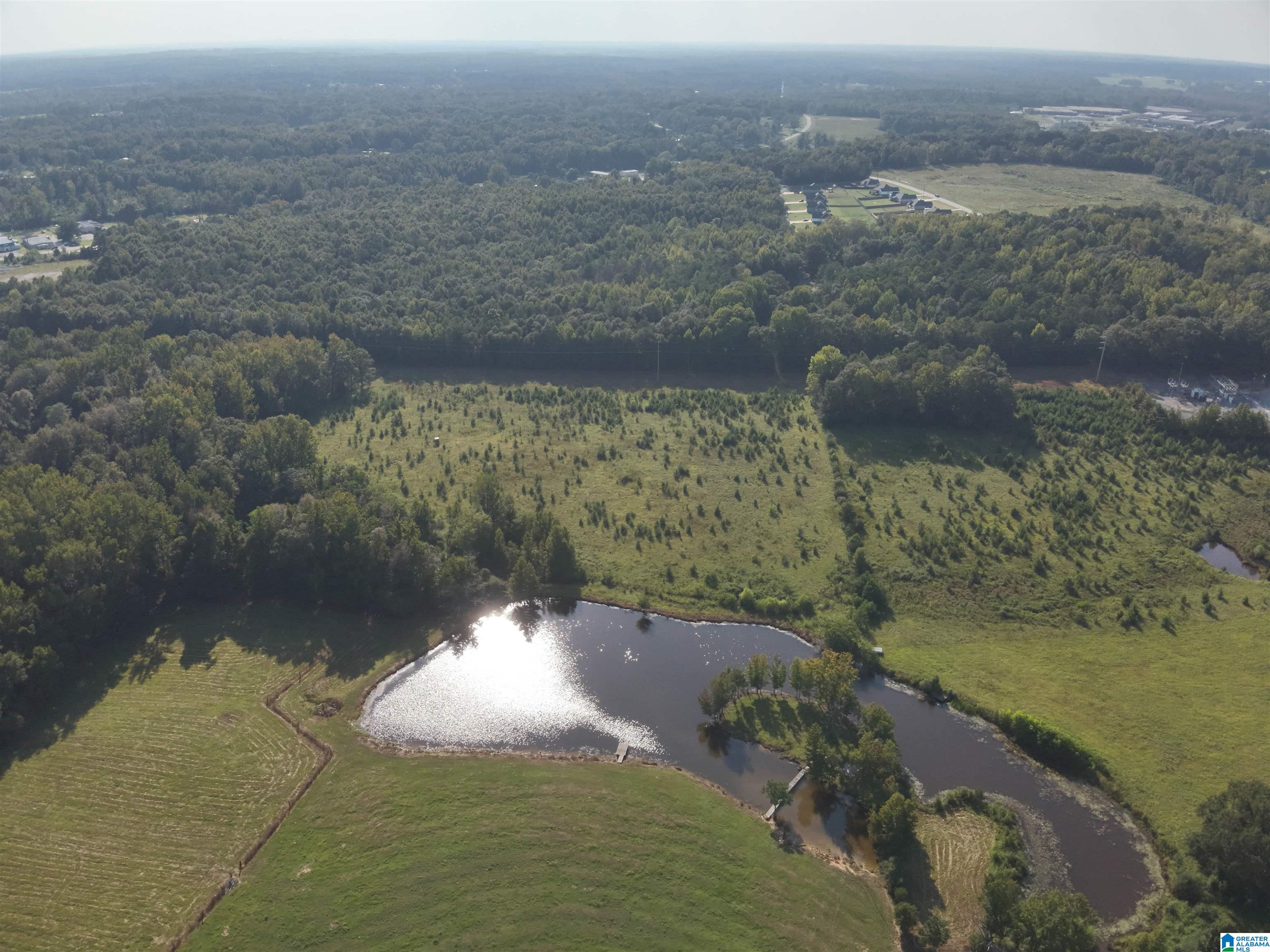 0 New Harmony Road, Unit 35 ACRES / Clanton, AL 35045 - Photo 6 of 21