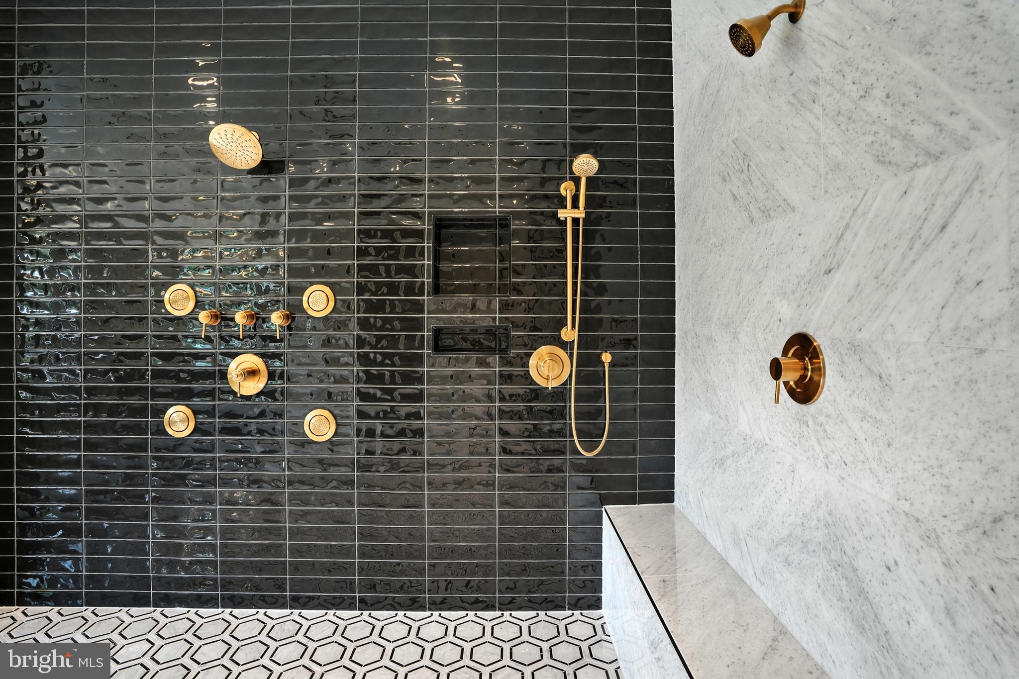 1321 Hunter Mill Road Vienna, VA 22182 - Photo 32 of 92 Primary Shower