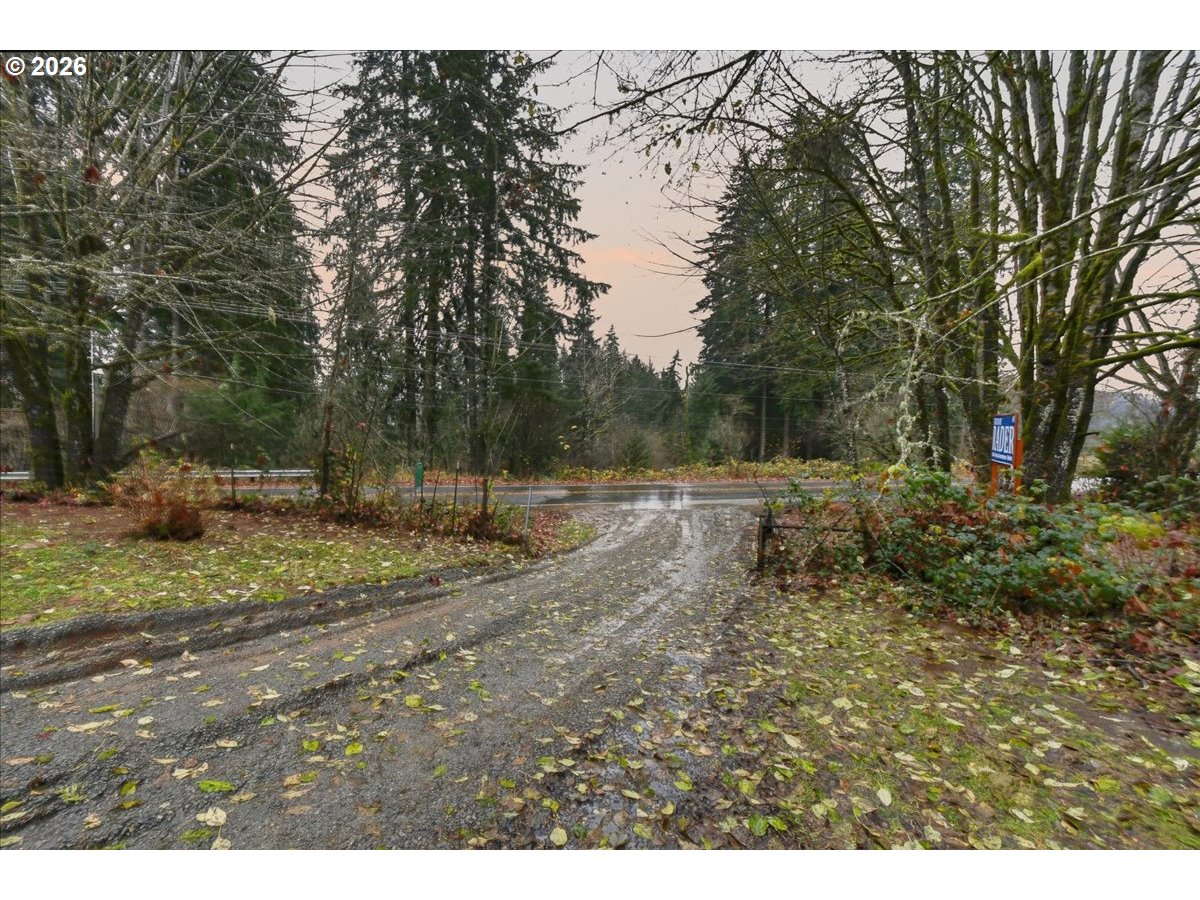 8138 Lewis River Road Ariel, WA 98603 - Photo 4 of 24 a view of a park with large trees