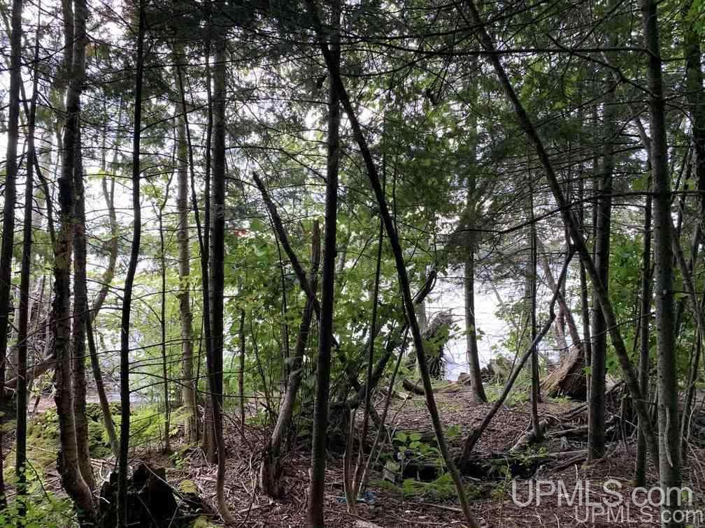 Lot 1 Bayview Road Lanse, MI 49946 - Photo 12 of 27