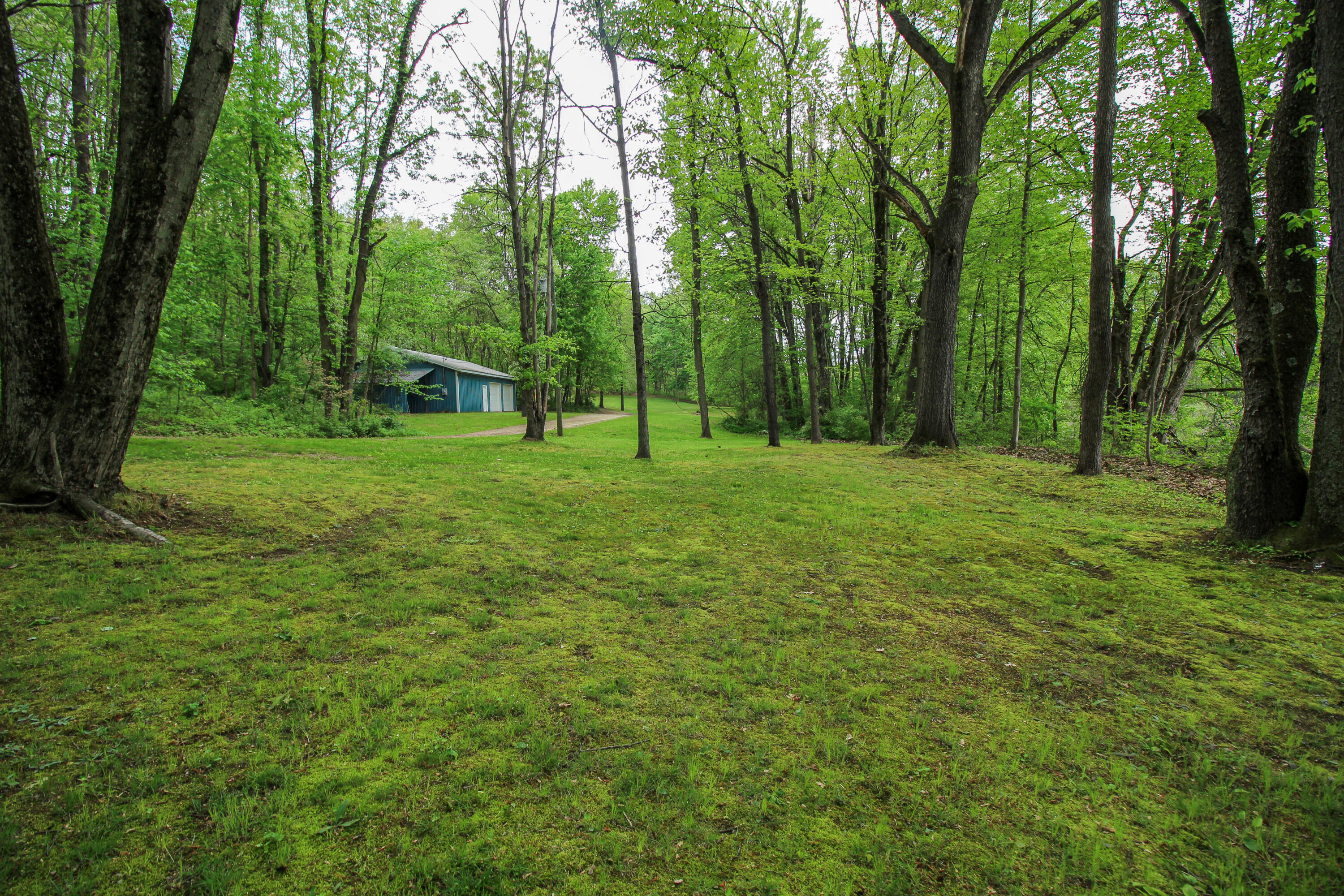 11111 Born Street Three Rivers, MI 49093 - Photo 58 of 65 Born-13