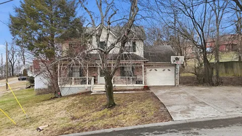 a view of a yard with a tree