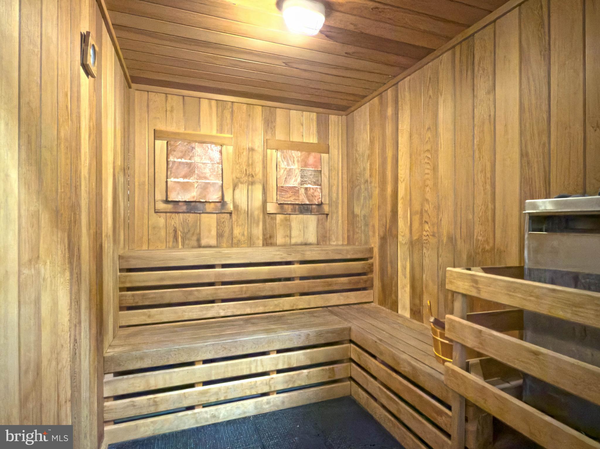 14 Bowers Drive, Unit 1 Ocean View, DE 19970 - Photo 50 of 57 Sauna