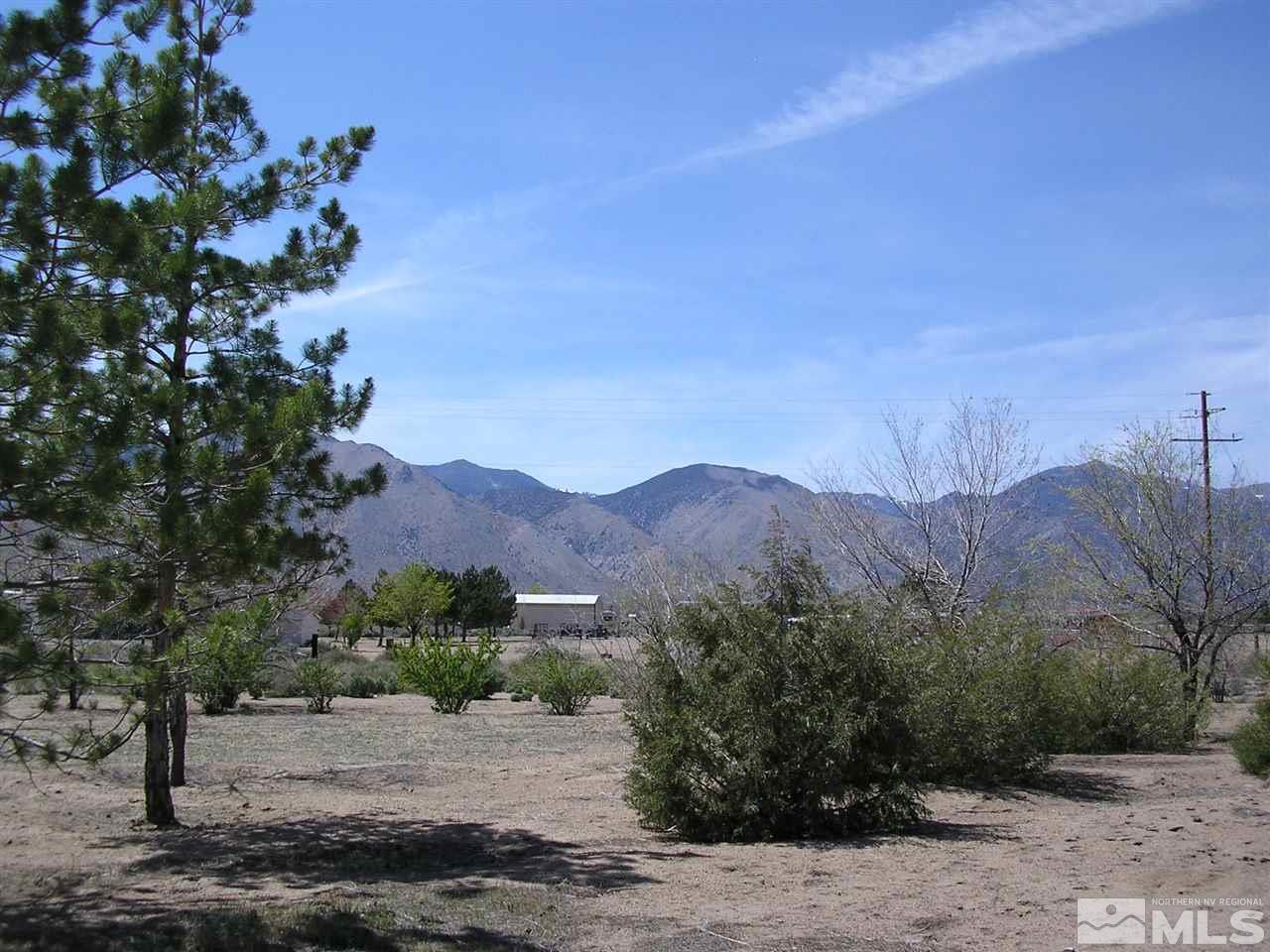 110 Artist View Road Wellington, NV 89444 - Photo 4 of 7 Photo 4