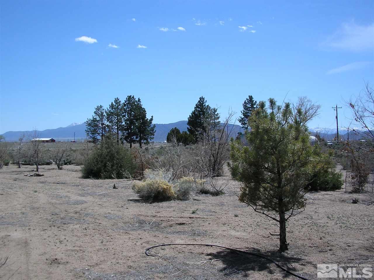 110 Artist View Road Wellington, NV 89444 - Photo 5 of 7 Photo 5