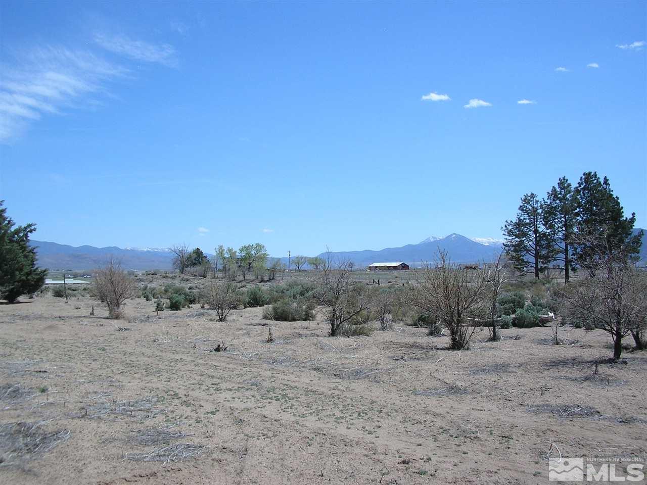 110 Artist View Road Wellington, NV 89444 - Photo 6 of 7 Photo 6
