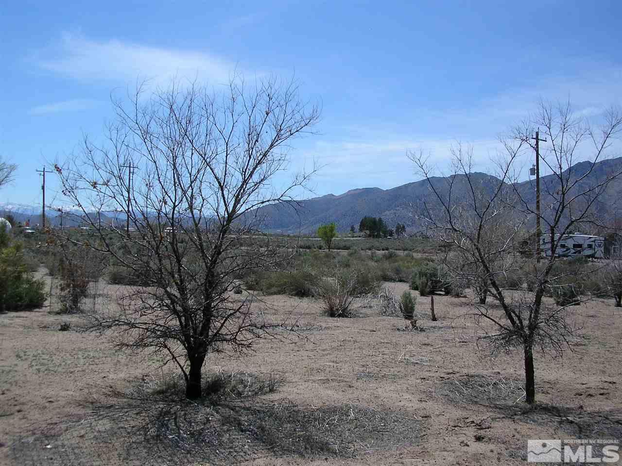 110 Artist View Road Wellington, NV 89444 - Photo 7 of 7 Photo 7