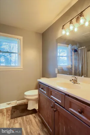 a bathroom with a sink and a toilet