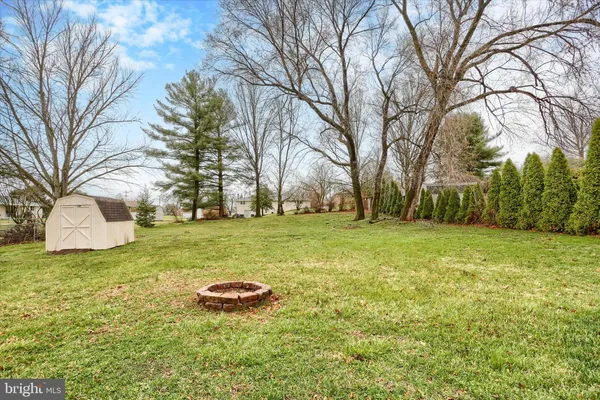 a view of a garden with trees