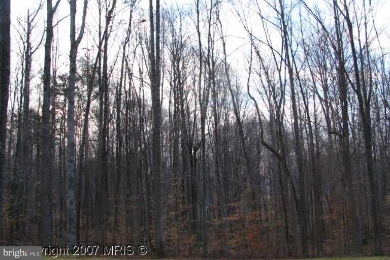 8565 Sinclair Mill Road Manassas, VA 20112 - Photo 1 of 3 Exterior (Main)