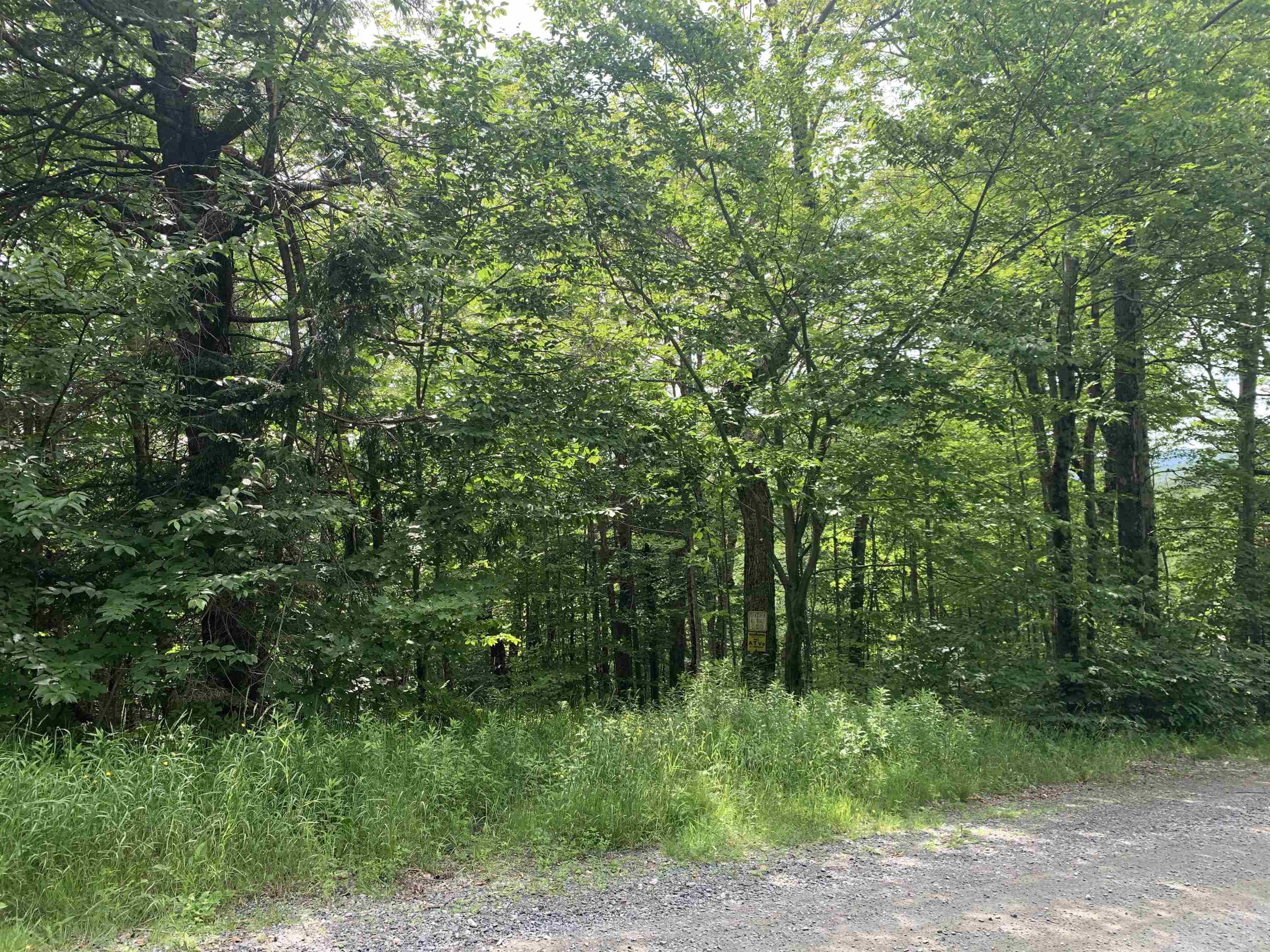 52 Sugar House Road West Dover, VT 05356 - Photo 2 of 11