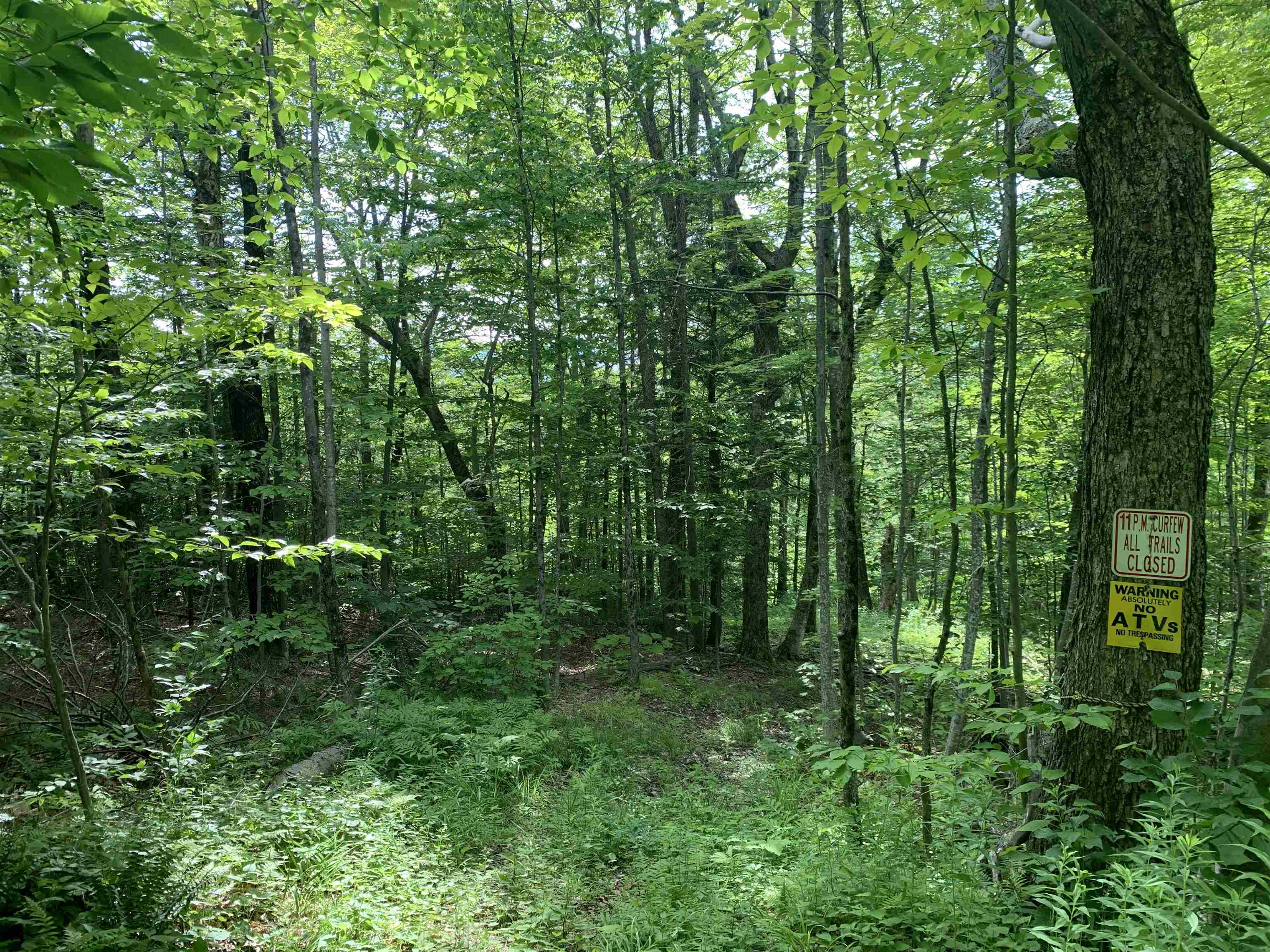 52 Sugar House Road West Dover, VT 05356 - Photo 3 of 11