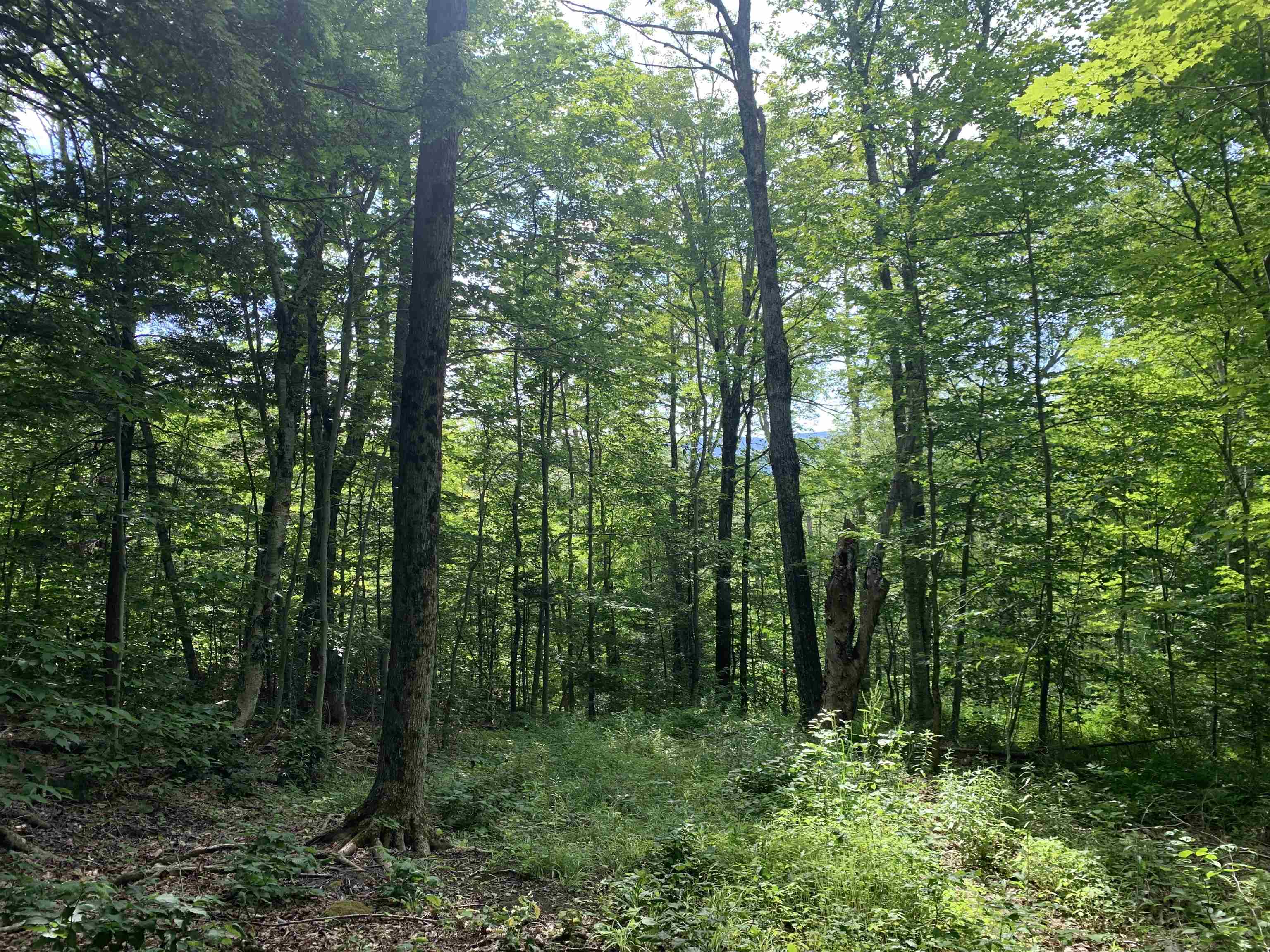 52 Sugar House Road West Dover, VT 05356 - Photo 4 of 11