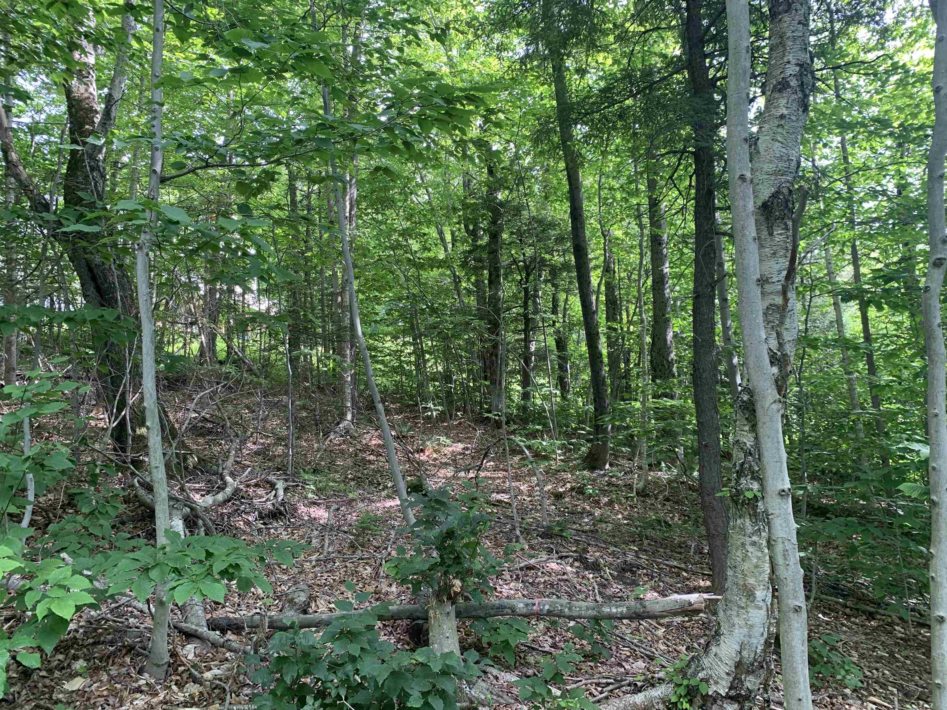 52 Sugar House Road West Dover, VT 05356 - Photo 6 of 11