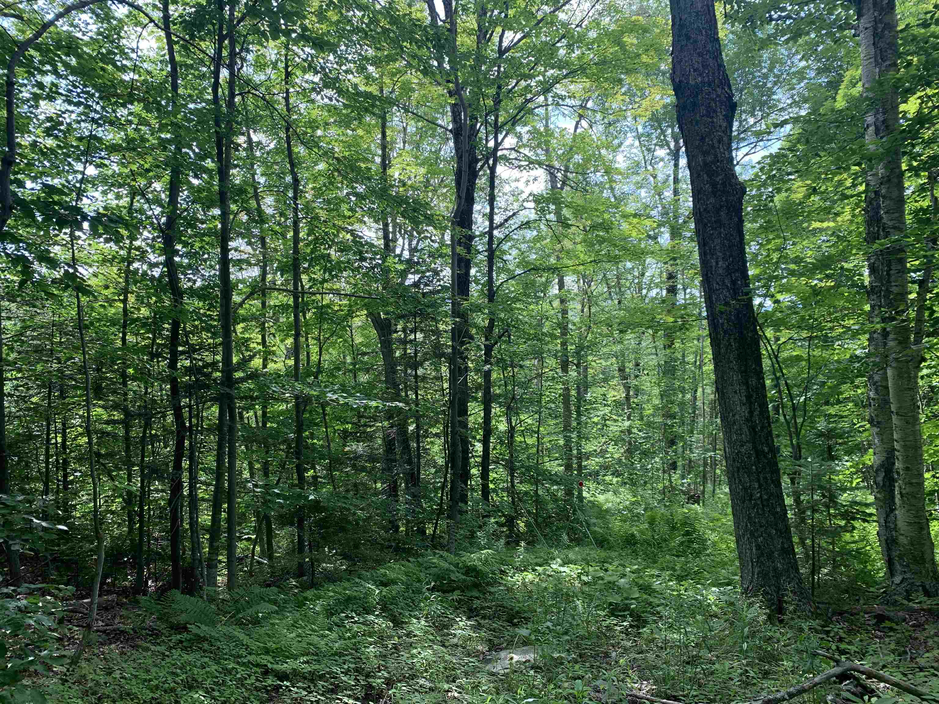 52 Sugar House Road West Dover, VT 05356 - Photo 7 of 11