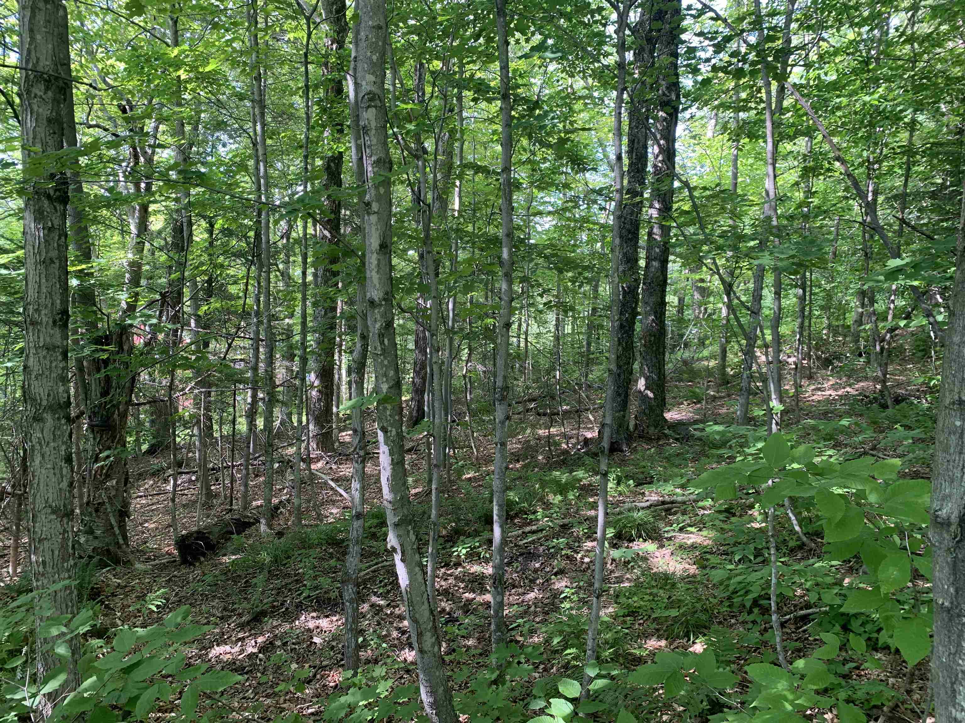 52 Sugar House Road West Dover, VT 05356 - Photo 10 of 11