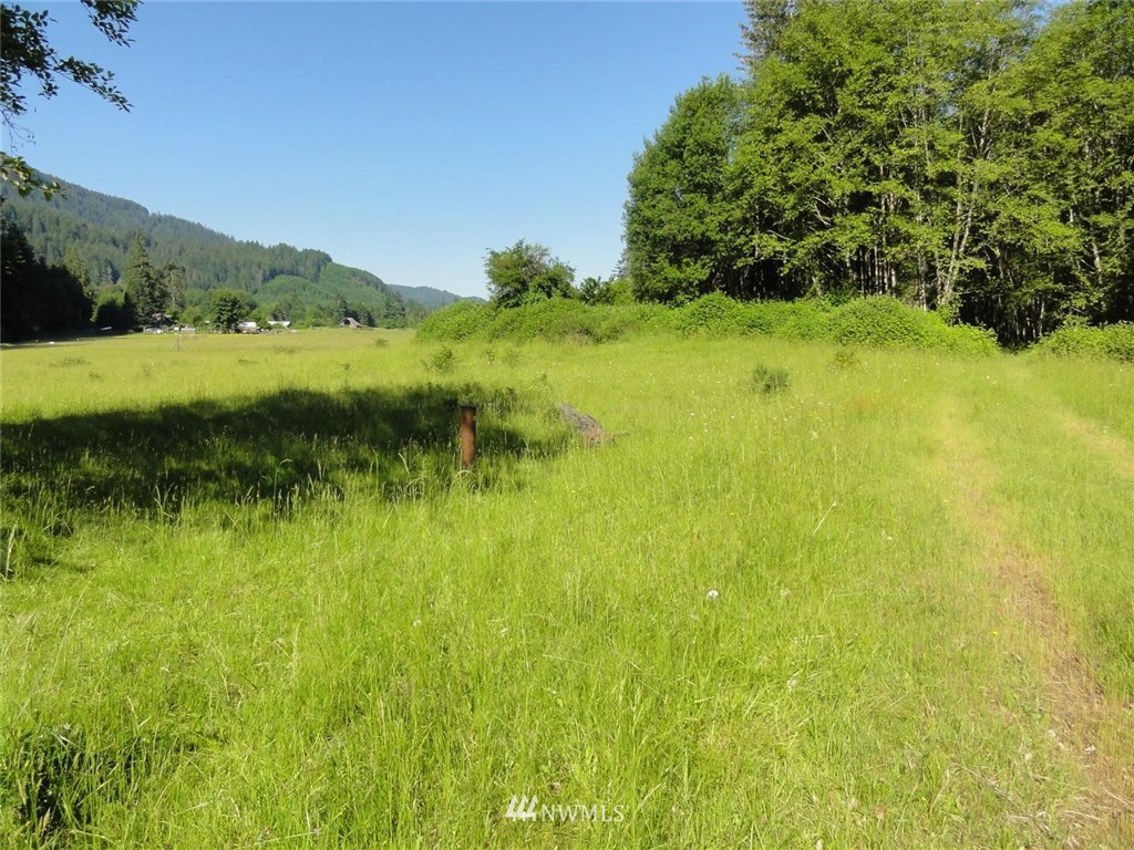 1845-1867 Cline Road Randle, WA 98377 - Photo 1 of 34 Gallery Image 1