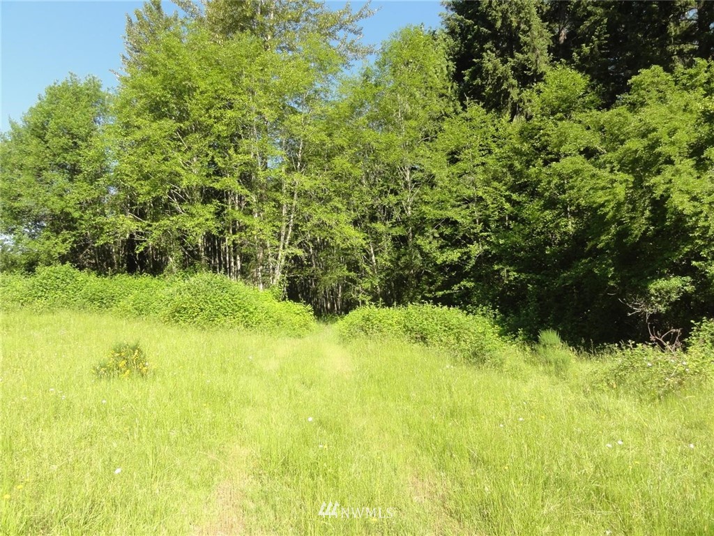 1845-1867 Cline Road Randle, WA 98377 - Photo 2 of 34 Gallery Image 2