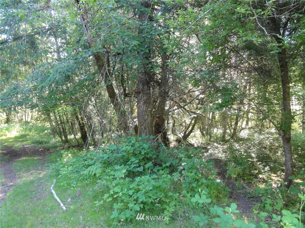 1845-1867 Cline Road Randle, WA 98377 - Photo 11 of 34 Gallery Image 11