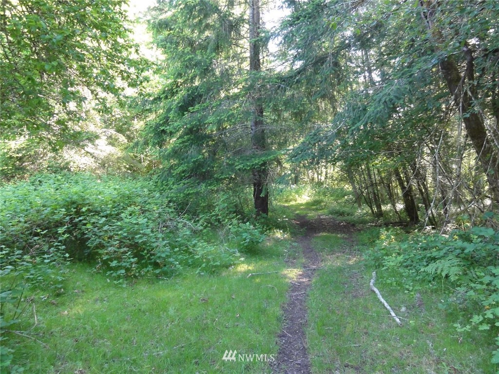 1845-1867 Cline Road Randle, WA 98377 - Photo 12 of 34 Gallery Image 12