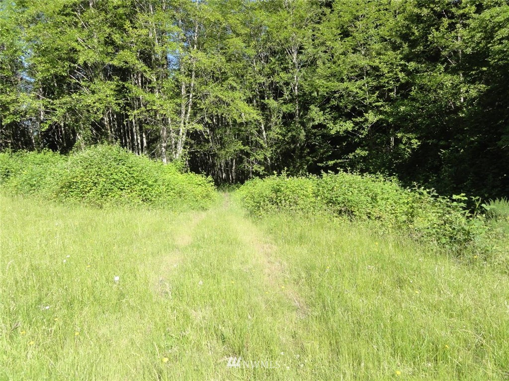 1845-1867 Cline Road Randle, WA 98377 - Photo 3 of 34 Gallery Image 3