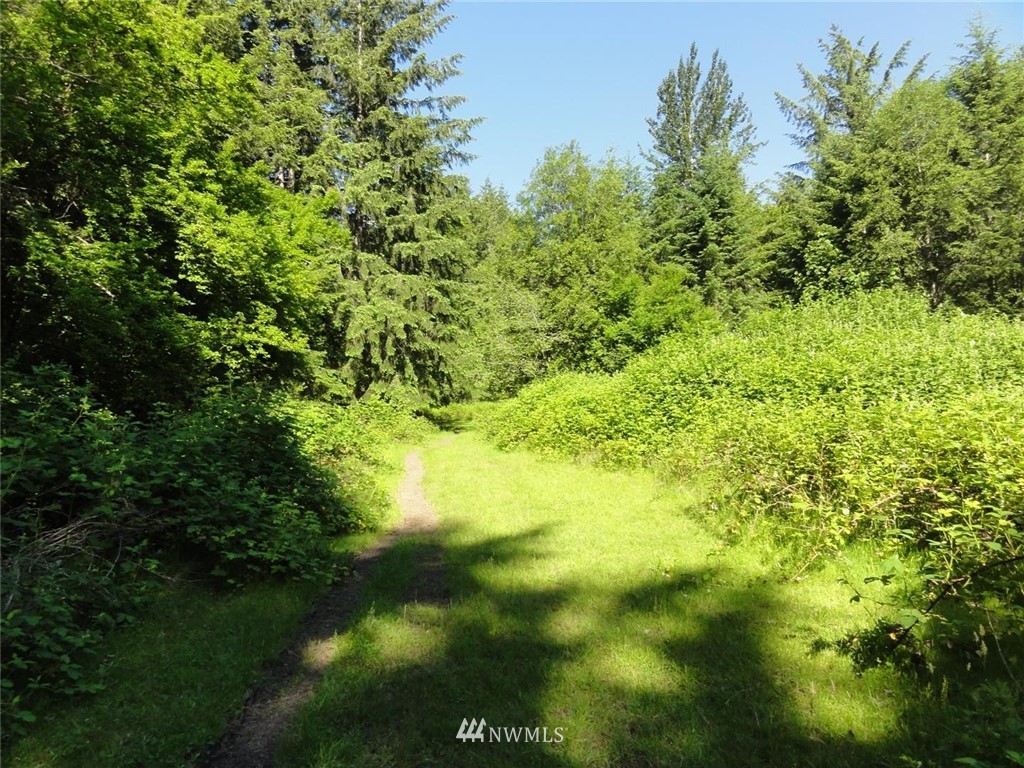 1845-1867 Cline Road Randle, WA 98377 - Photo 21 of 34 Gallery Image 21