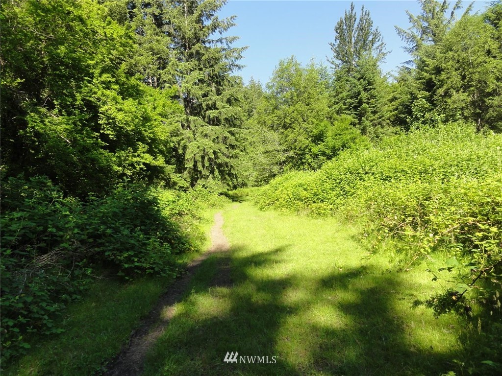 1845-1867 Cline Road Randle, WA 98377 - Photo 22 of 34 Gallery Image 22