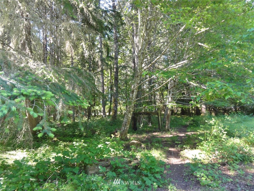 1845-1867 Cline Road Randle, WA 98377 - Photo 24 of 34 Gallery Image 24