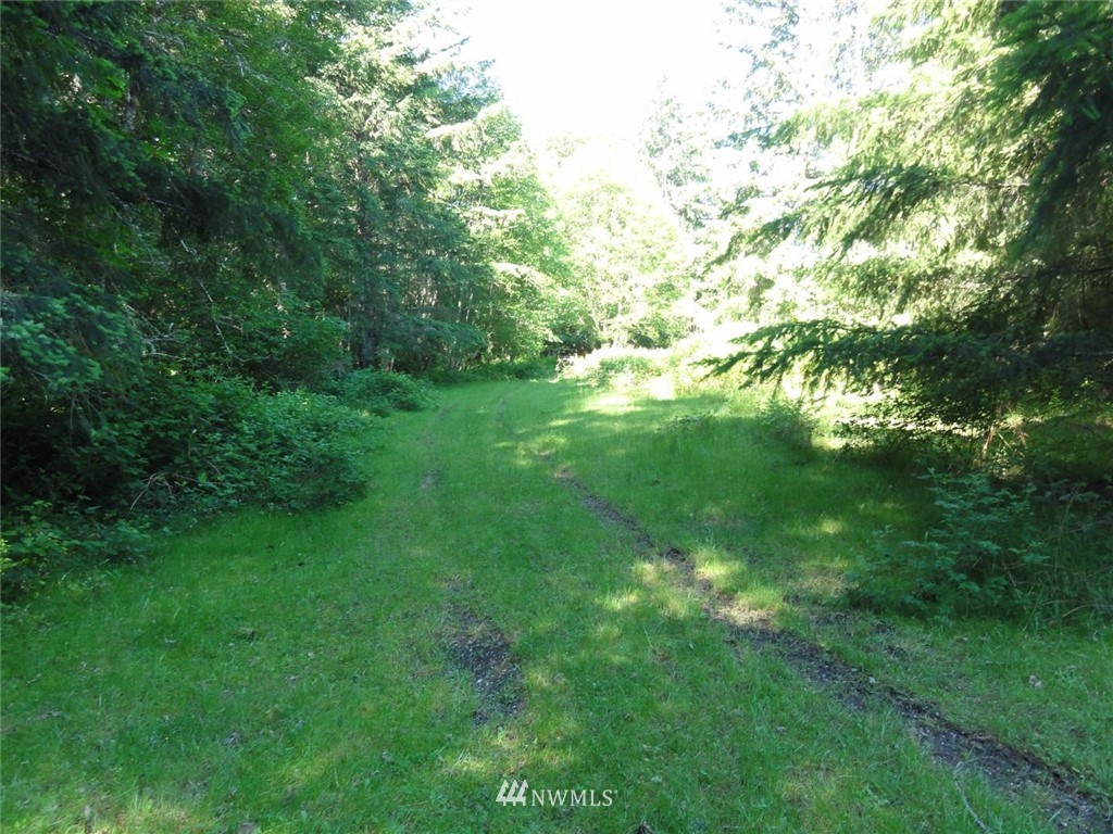 1845-1867 Cline Road Randle, WA 98377 - Photo 27 of 34 Gallery Image 27