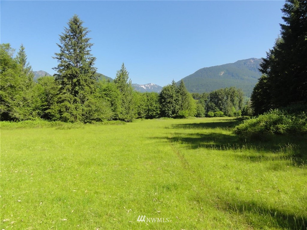 1845-1867 Cline Road Randle, WA 98377 - Photo 29 of 34 Gallery Image 29