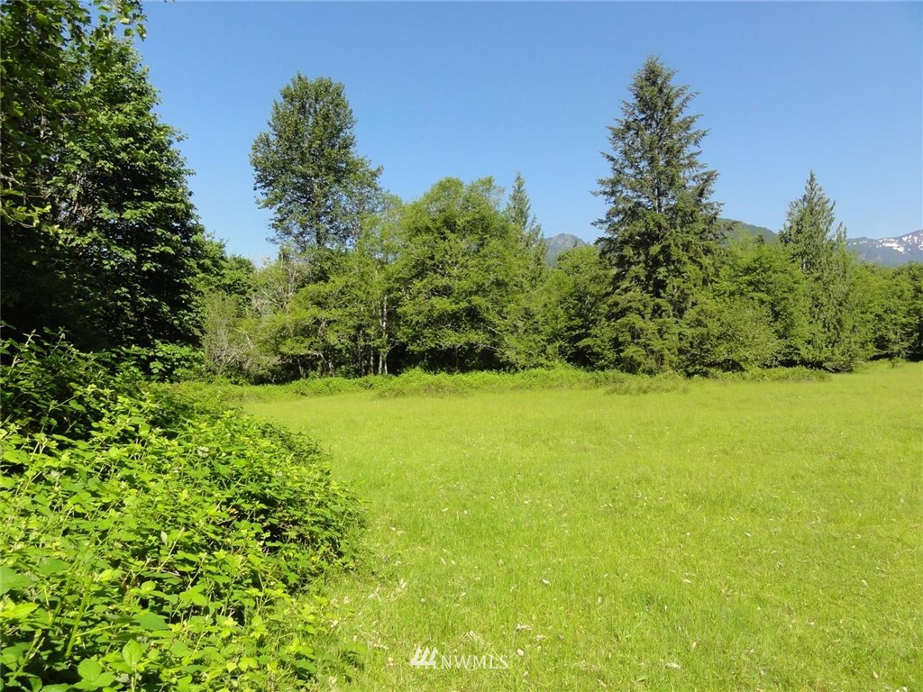 1845-1867 Cline Road Randle, WA 98377 - Photo 30 of 34 Gallery Image 30