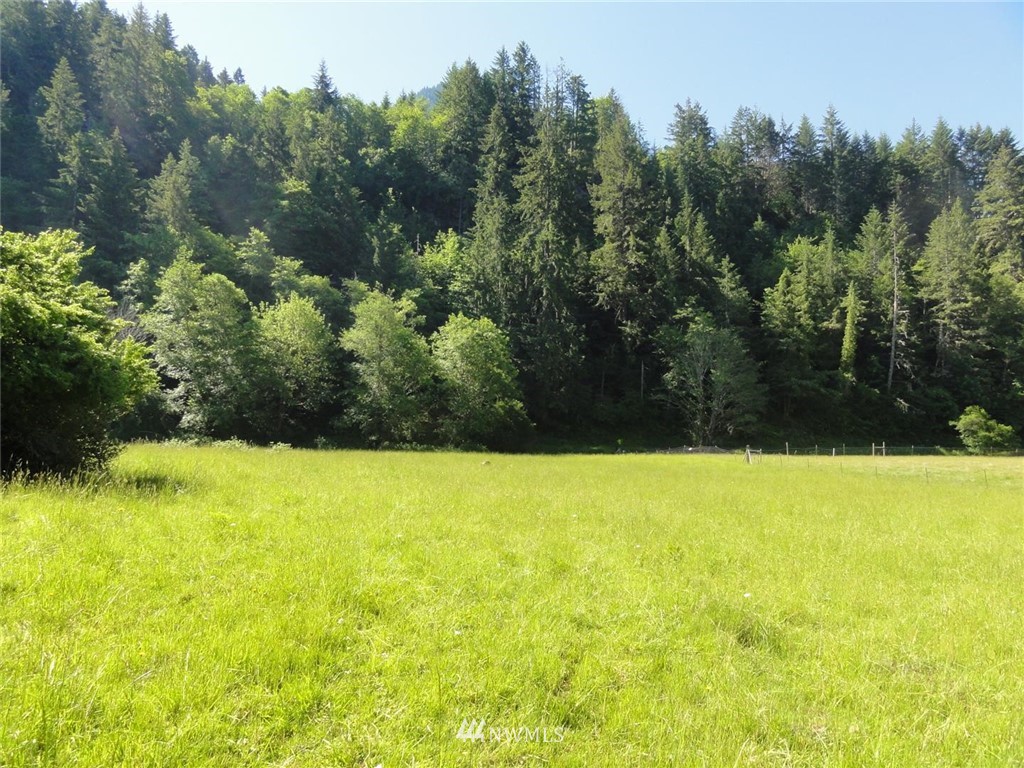 1845-1867 Cline Road Randle, WA 98377 - Photo 32 of 34 Gallery Image 32