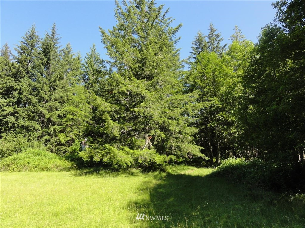 1845-1867 Cline Road Randle, WA 98377 - Photo 33 of 34 Gallery Image 33