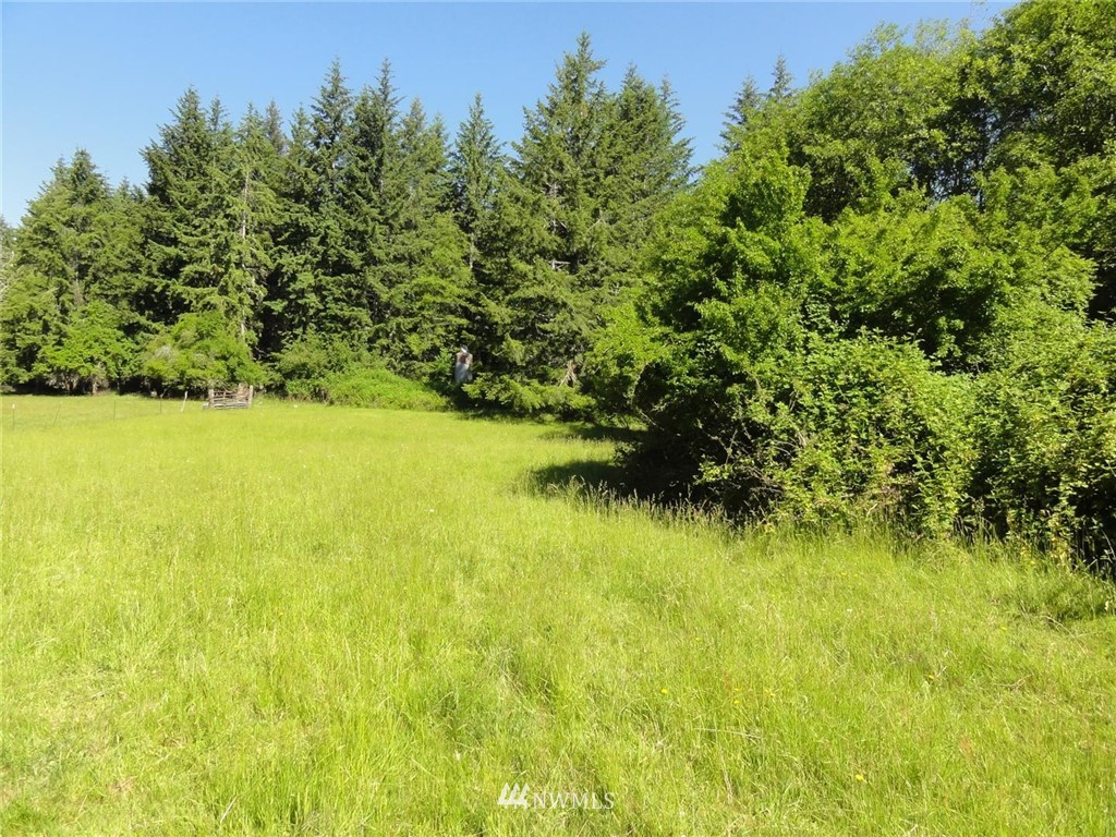 1845-1867 Cline Road Randle, WA 98377 - Photo 34 of 34 Gallery Image 34