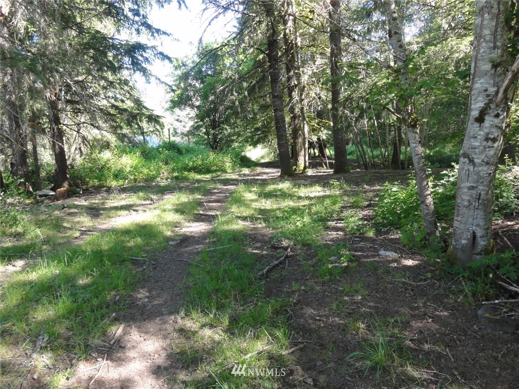 1845-1867 Cline Road Randle, WA 98377 - Photo 6 of 34 Gallery Image 6