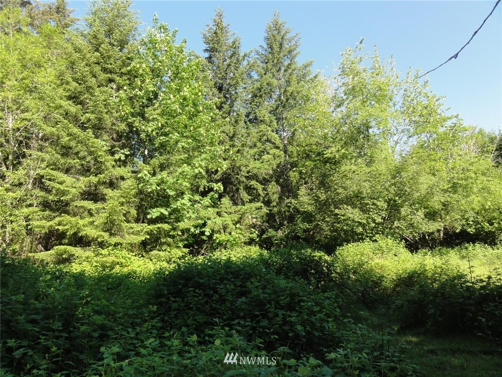1845-1867 Cline Road Randle, WA 98377 - Photo 10 of 34 Gallery Image 10