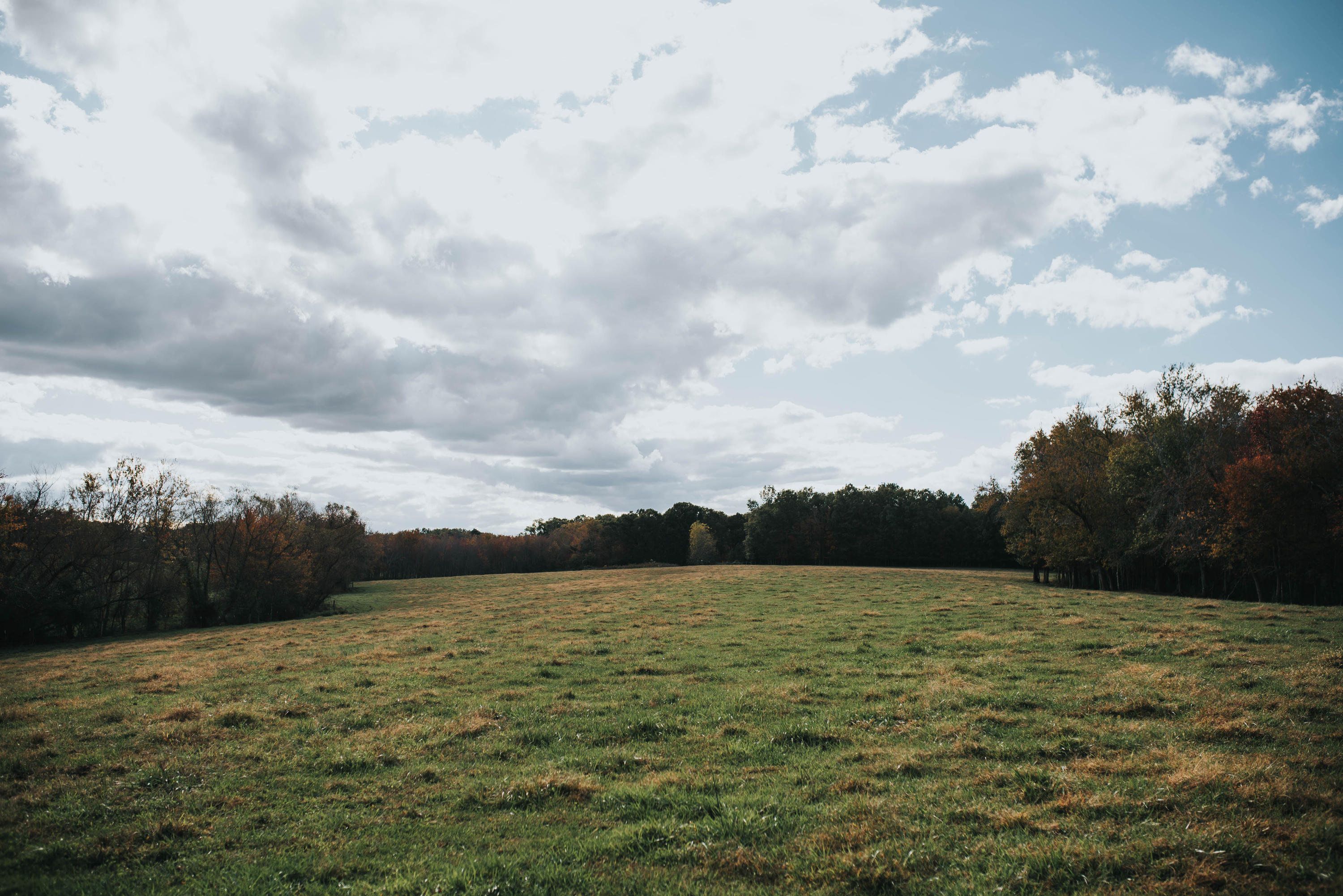 Shirley Road Allardt, TN 38504 - Photo 11 of 39 DSC_2998