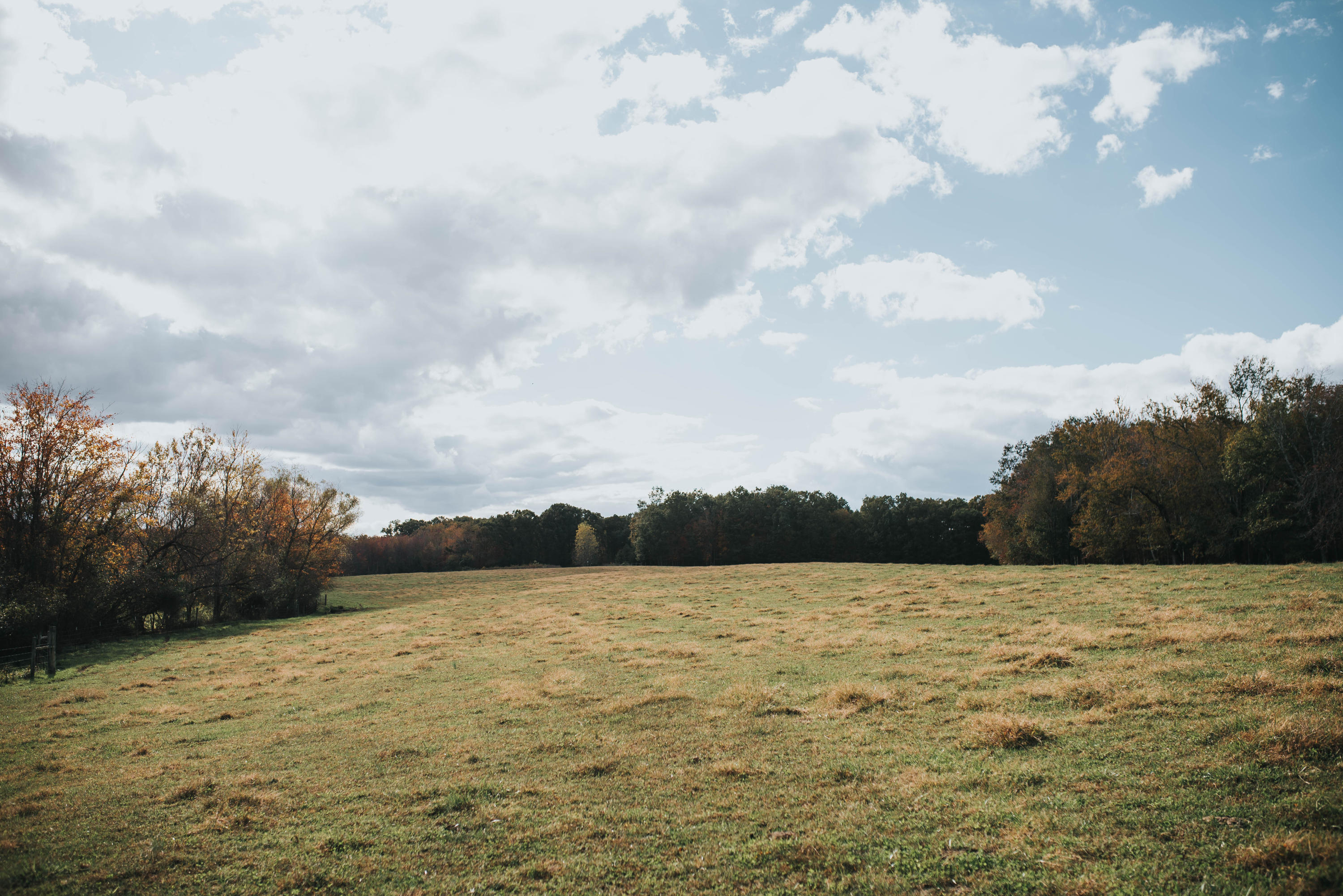 Shirley Road Allardt, TN 38504 - Photo 13 of 39 DSC_3003