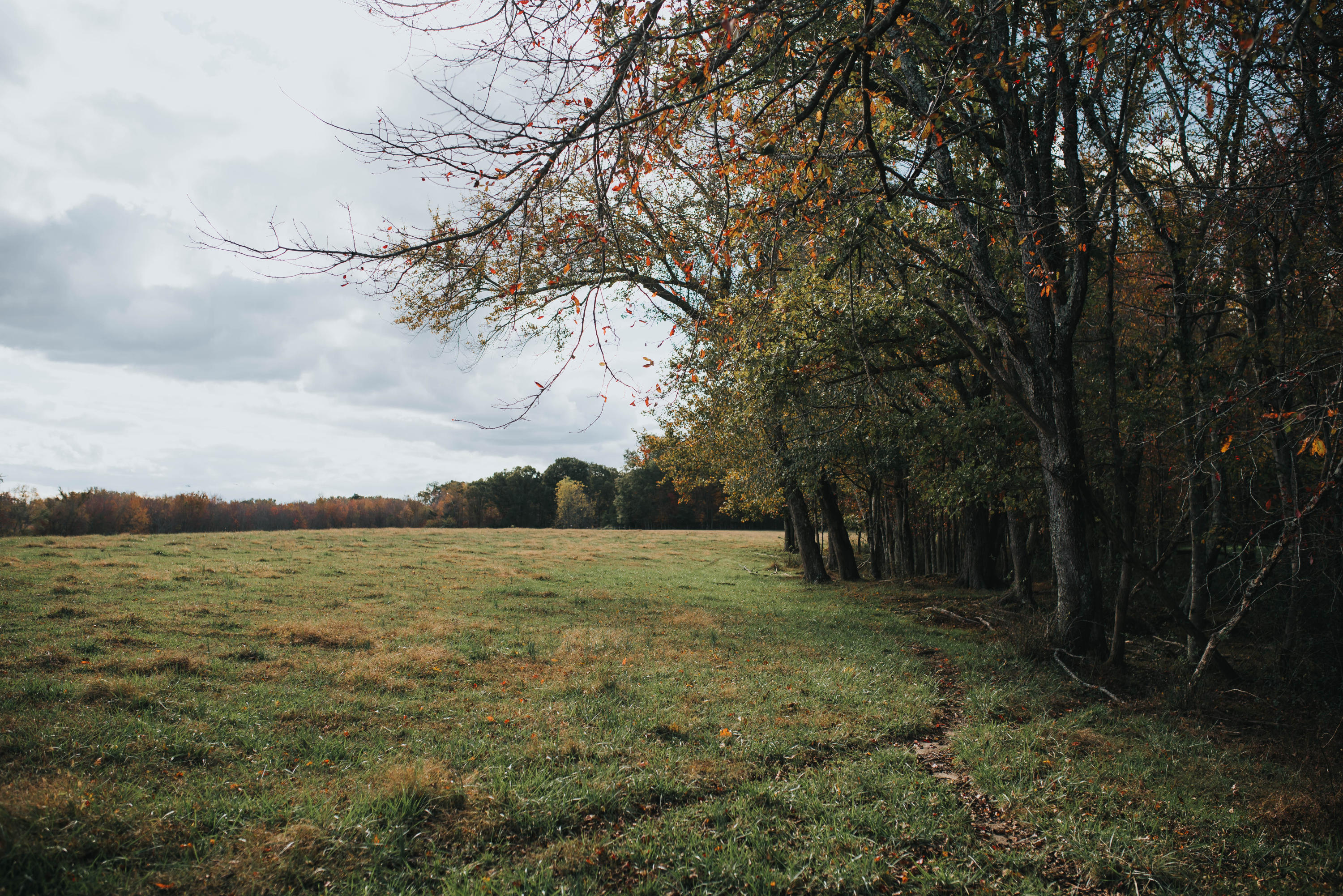 Shirley Road Allardt, TN 38504 - Photo 14 of 39 DSC_3007