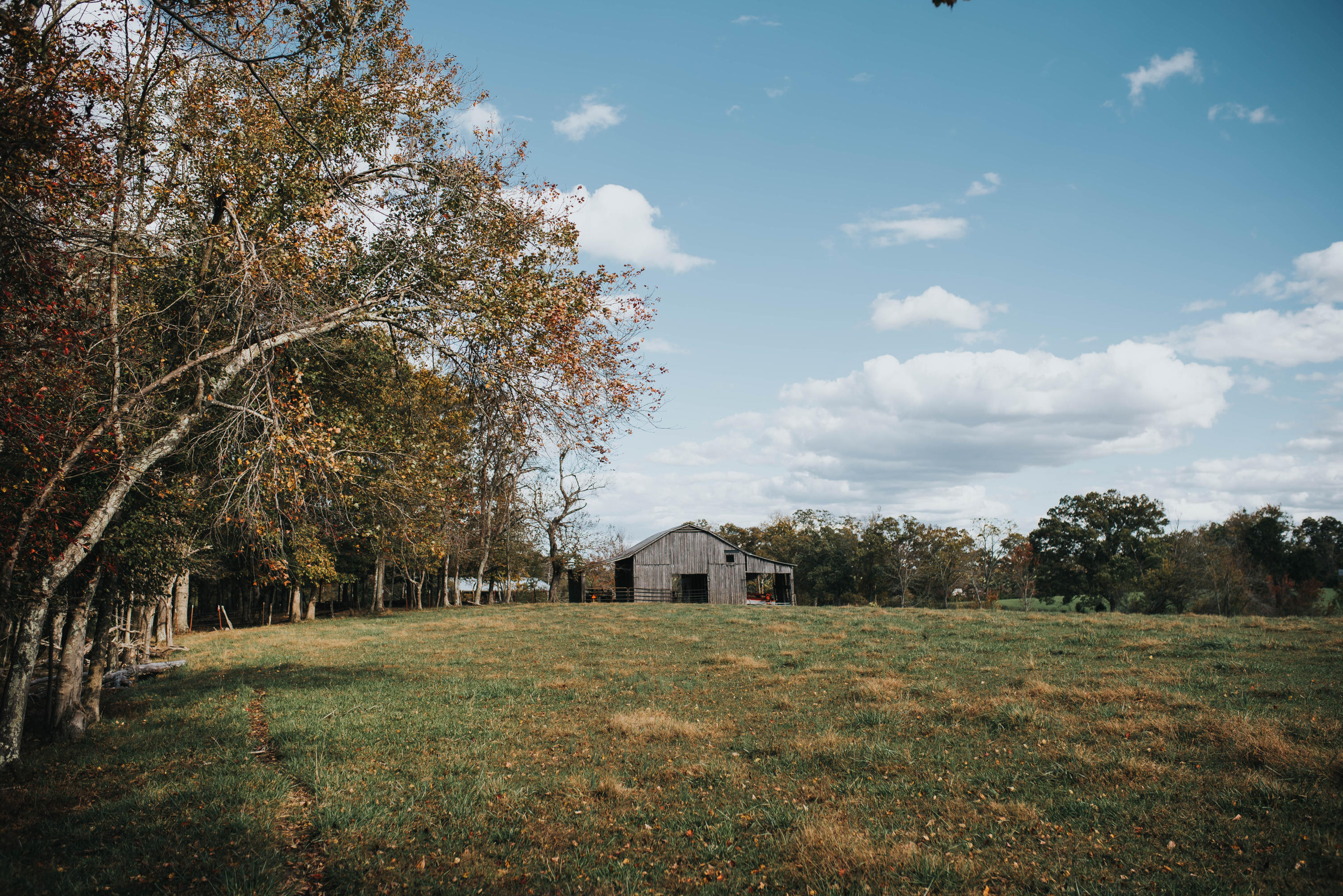 Shirley Road Allardt, TN 38504 - Photo 15 of 39 DSC_3008