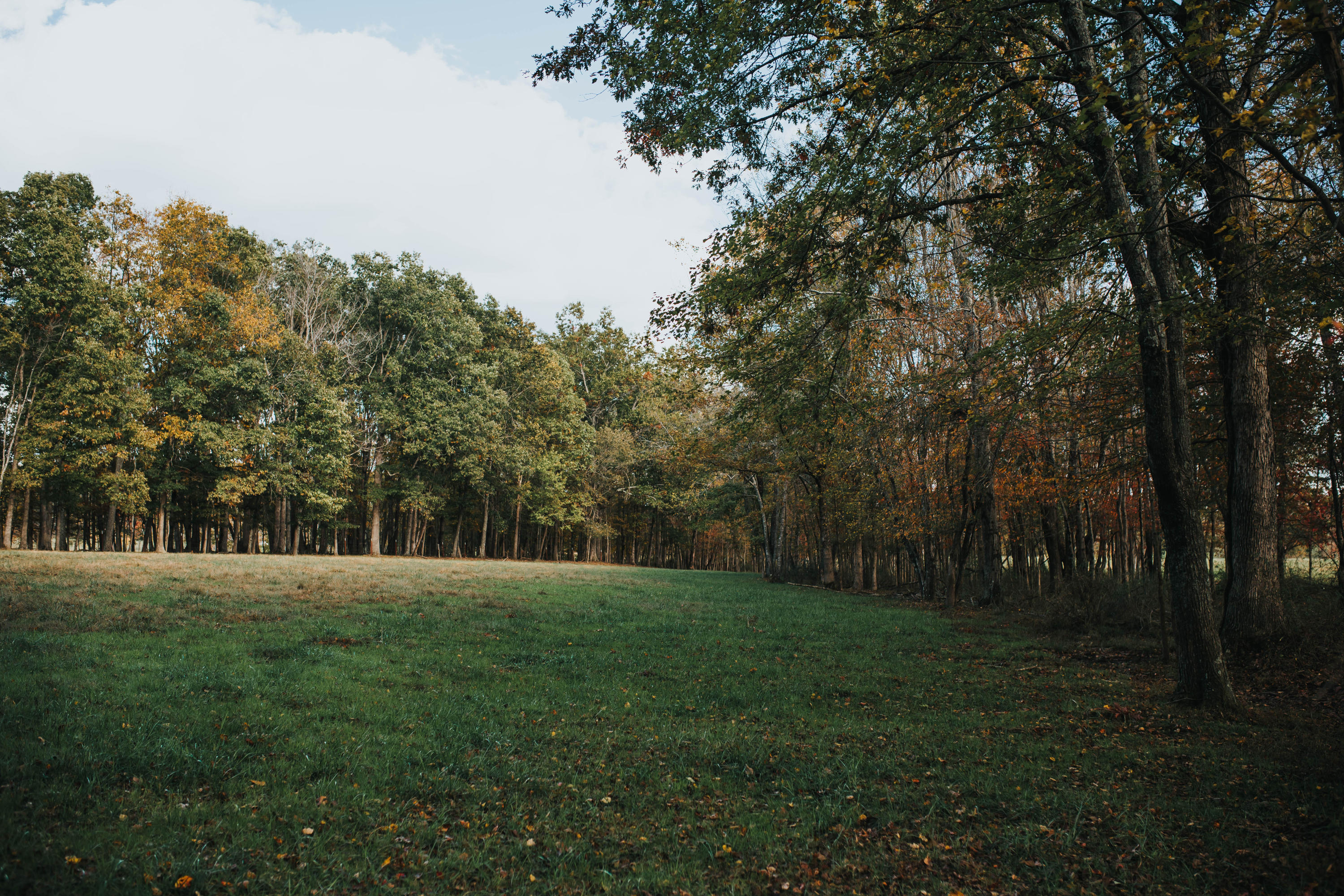 Shirley Road Allardt, TN 38504 - Photo 16 of 39 DSC_3009