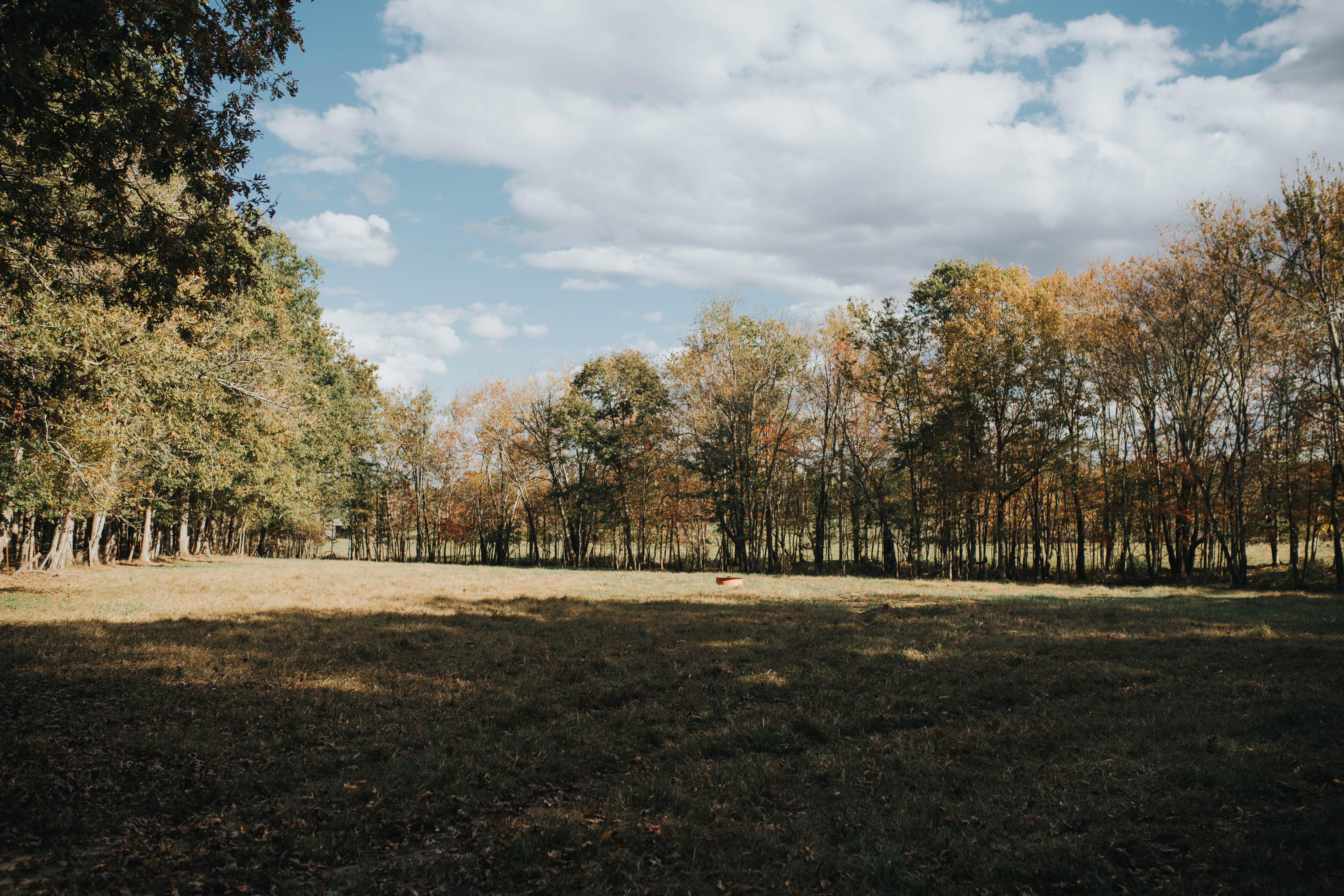 Shirley Road Allardt, TN 38504 - Photo 18 of 39 DSC_3019
