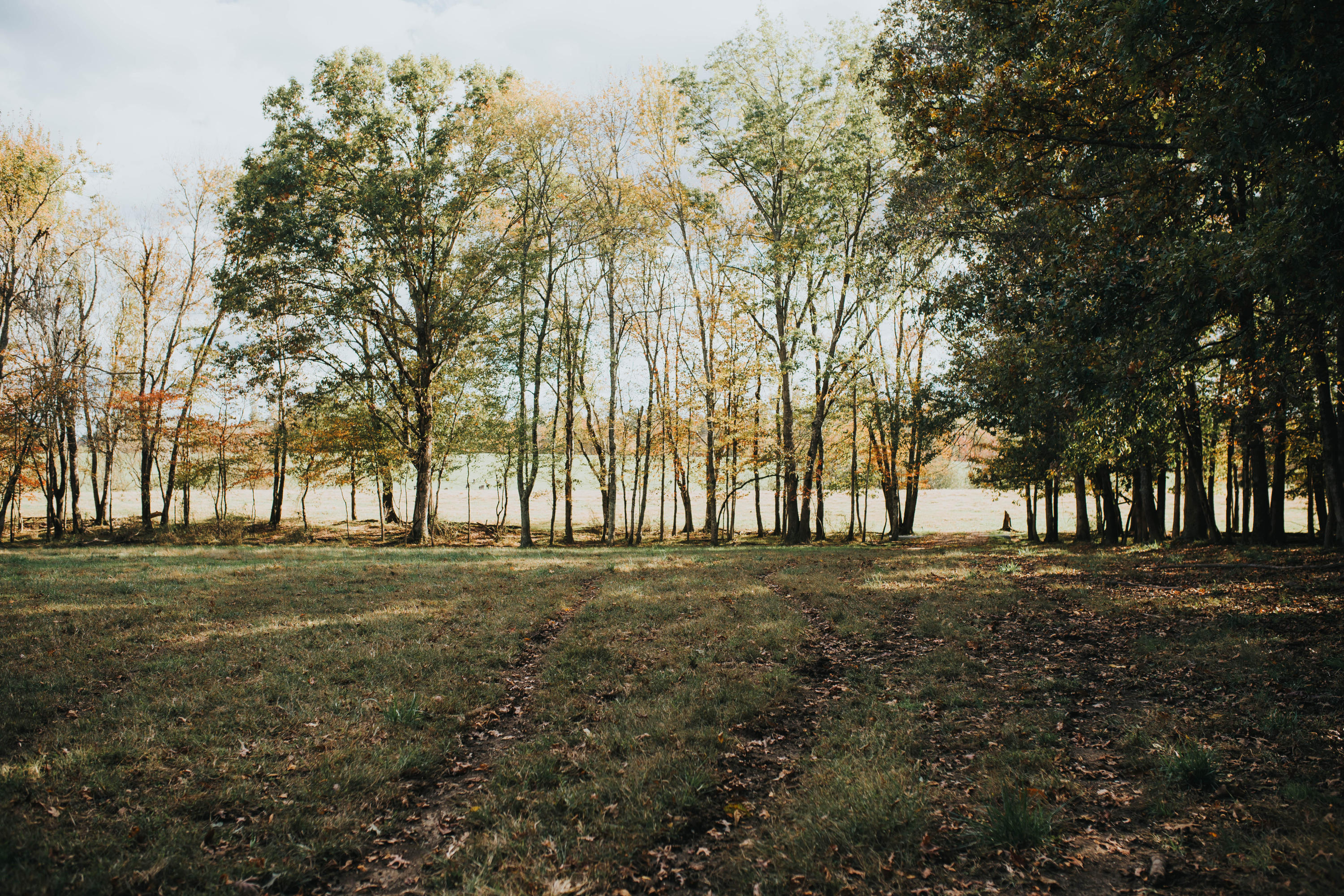 Shirley Road Allardt, TN 38504 - Photo 20 of 39 DSC_3021