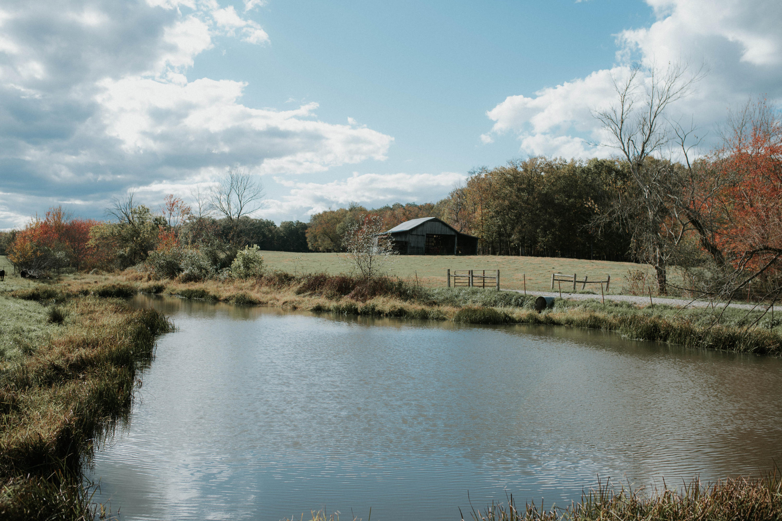 Shirley Road Allardt, TN 38504 - Photo 3 of 39 DSC_2981